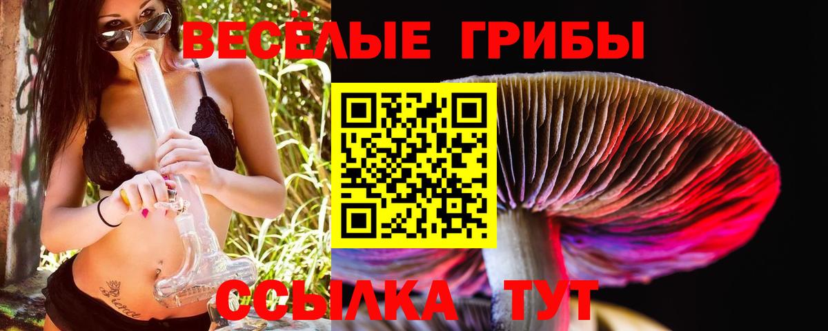 Галлюциногенные грибы GOLDEN TEACHER  Вход с VPN  купить   Петропавловск-Камчатский 